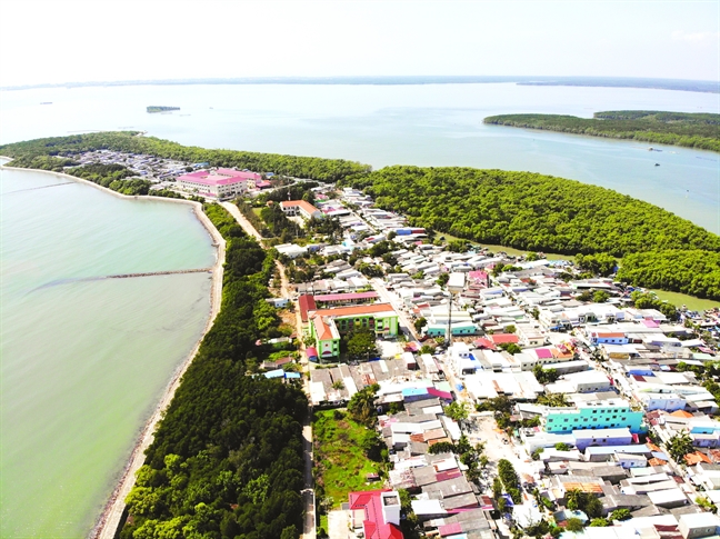 Hơn[-]73ha[-]rừng[-]Cần[-]Giờ[-]bất[-]ngờ…[-]biến[-]mất